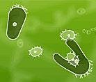Битката на микробите 
