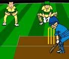 Virtual Cricket 2