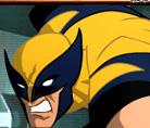 Wolverine M.R.D  